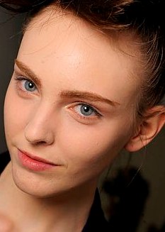 ����2009�Ĳ�ױ����,��͸�����׷�ױ,�־ò���ɫ�ķ�ӯ��ױ�Լ�����������۲�ױ���ܵ��˹㷺������