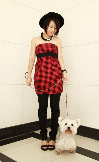 ����,����,����,����,����,��ת,����,��װ,ʱ��