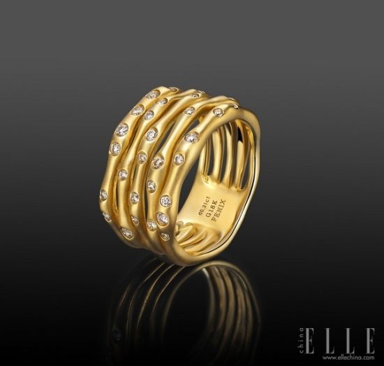 FENIX����ϵ��